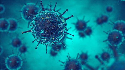 Best doctor of infection in faridabad